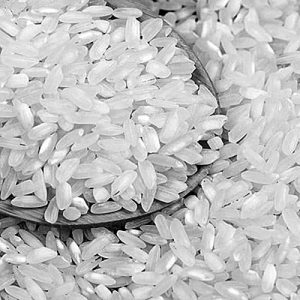 Addio Risotto? Die italienischen Reisbauern und der Klimawandel